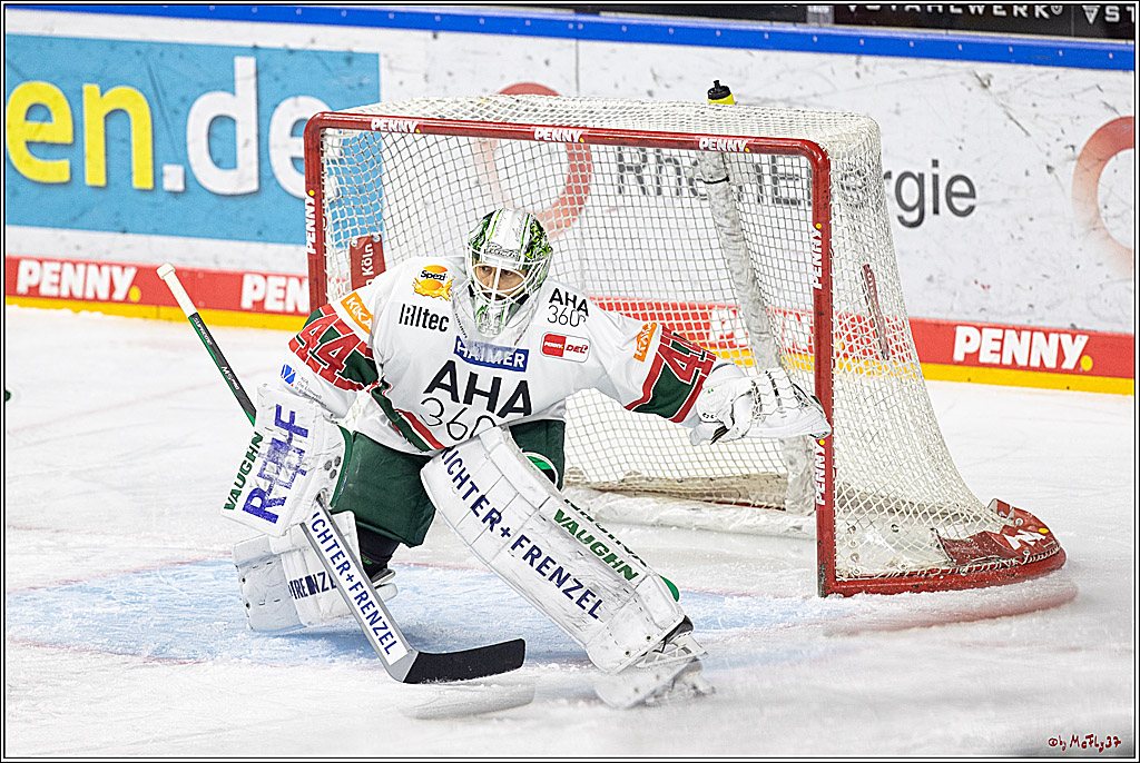 PENNY DEL;  Kölner Haie - Augsburger Panther; Köln, 20.12.2022